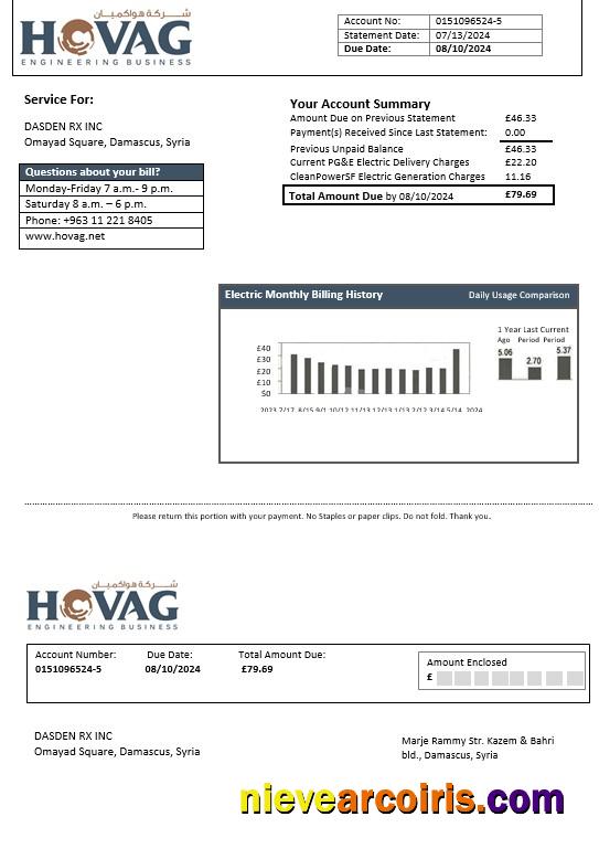 Syria HOVAG Company electricity business utility bill